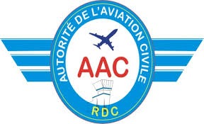 Aviation Logo