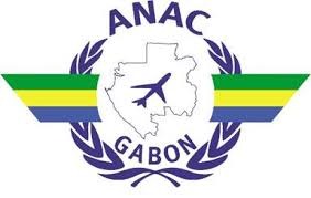 Aviation Logo