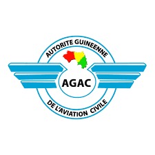 Aviation Logo